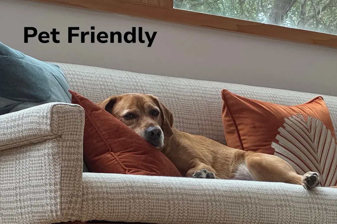 Twiddy pet friendly vacation rental homes