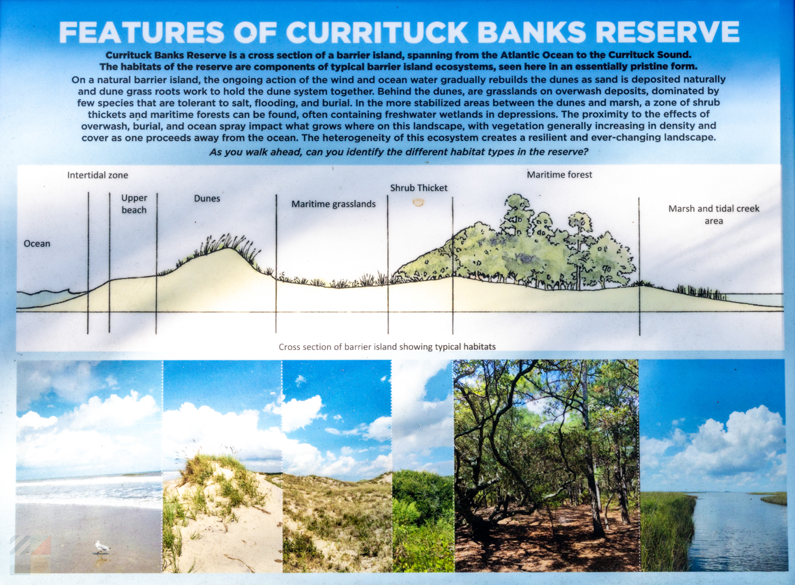 Currituck Banks Reserve trail features