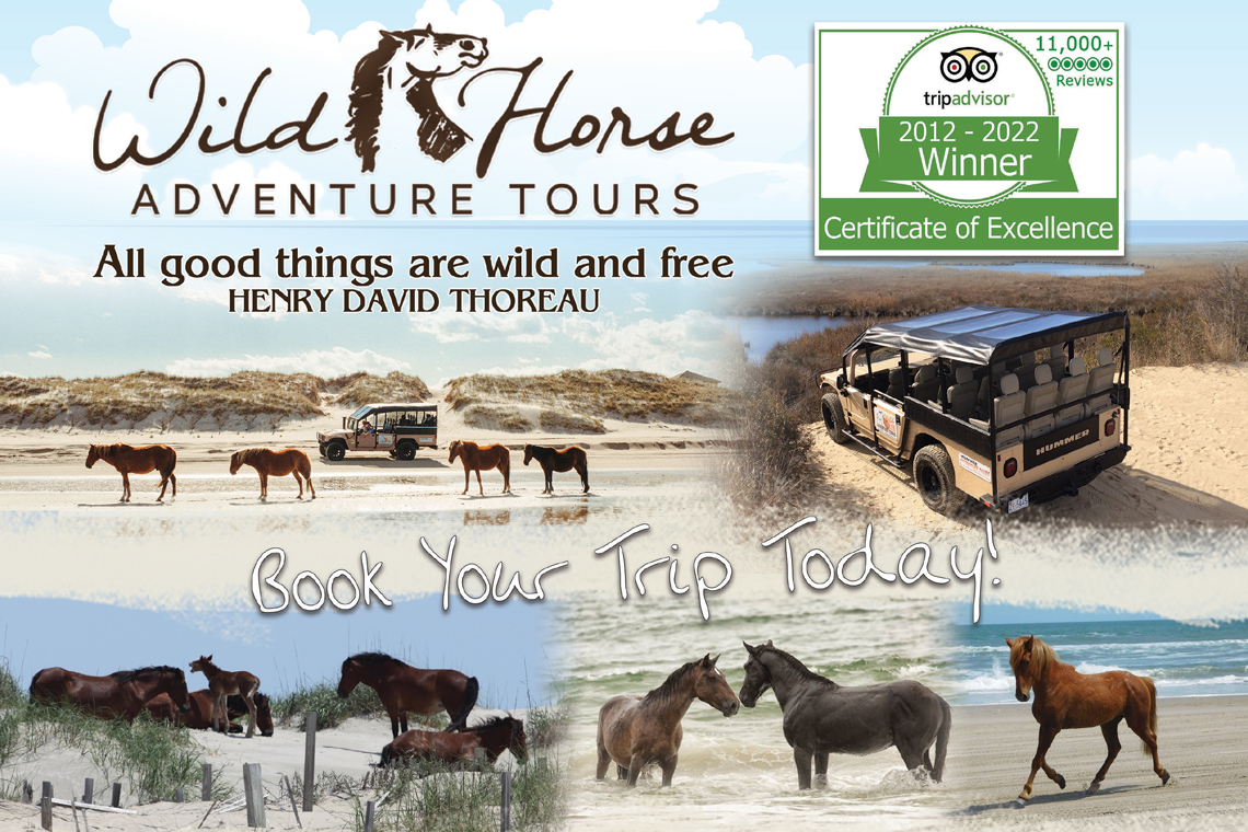 wild horse tour discount code