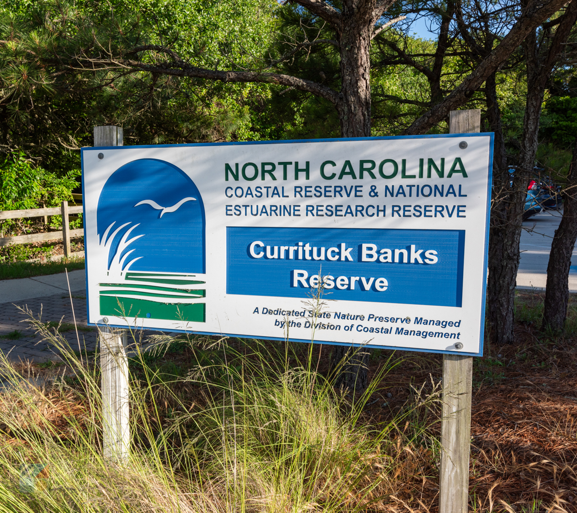 Currituck Banks Coastal Estuarine Reserve