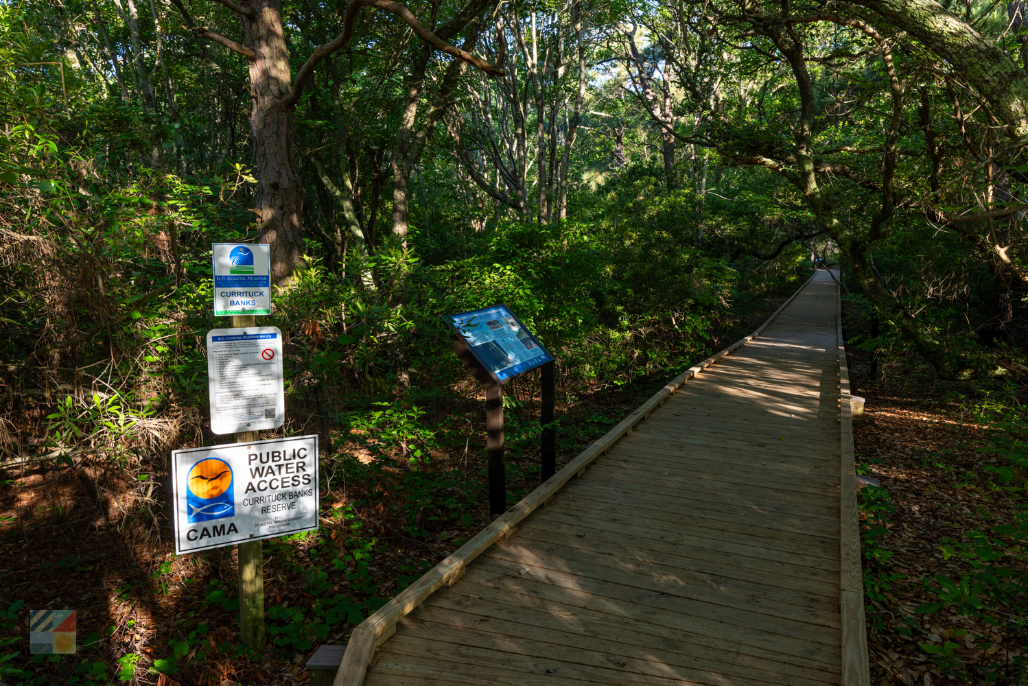 Currituck Banks Coastal Estuarine Reserve