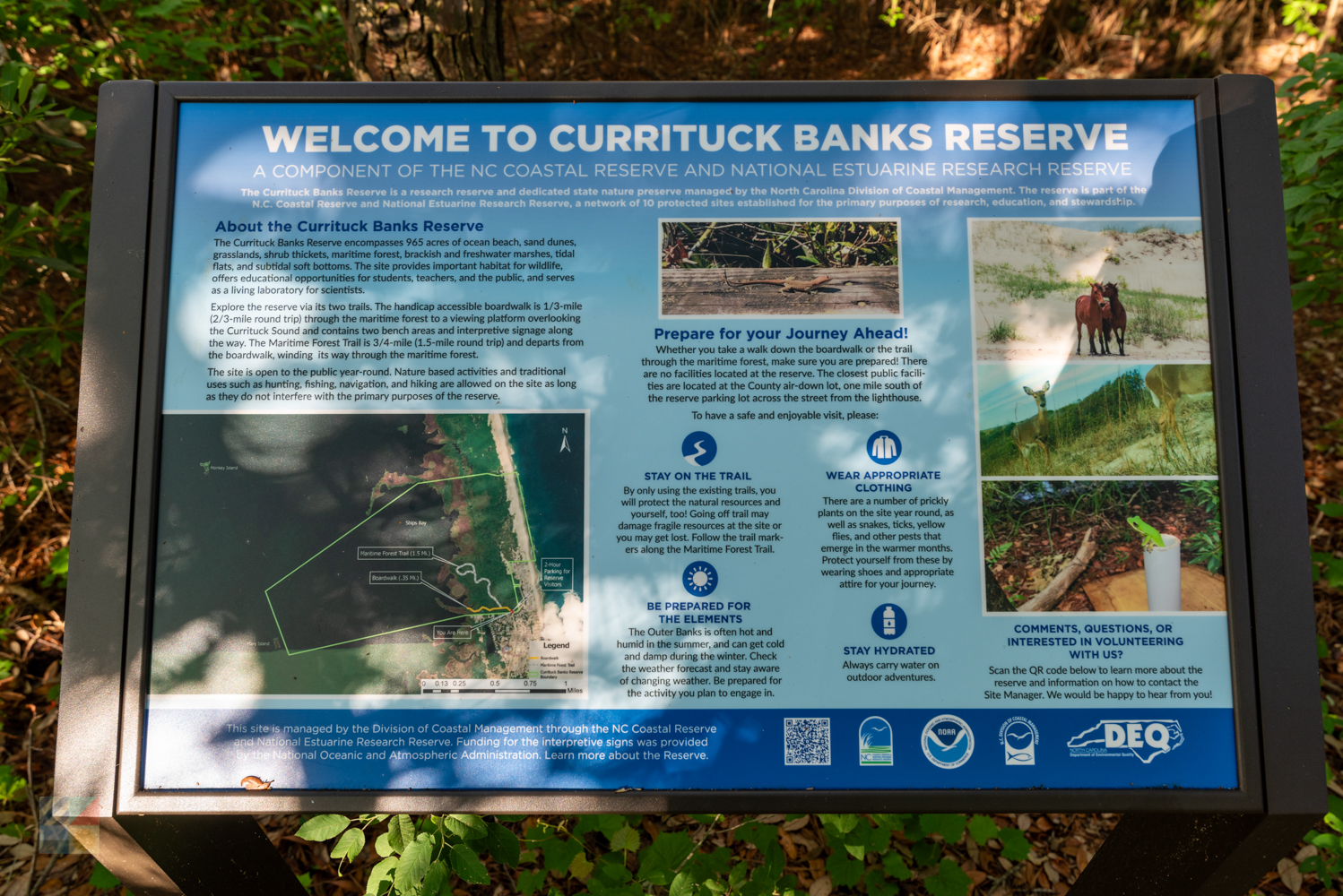 Currituck Banks Coastal Estuarine Reserve