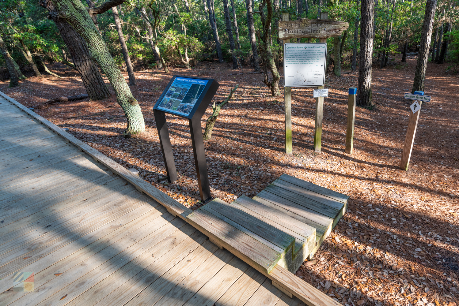 Currituck Banks Coastal Estuarine Reserve