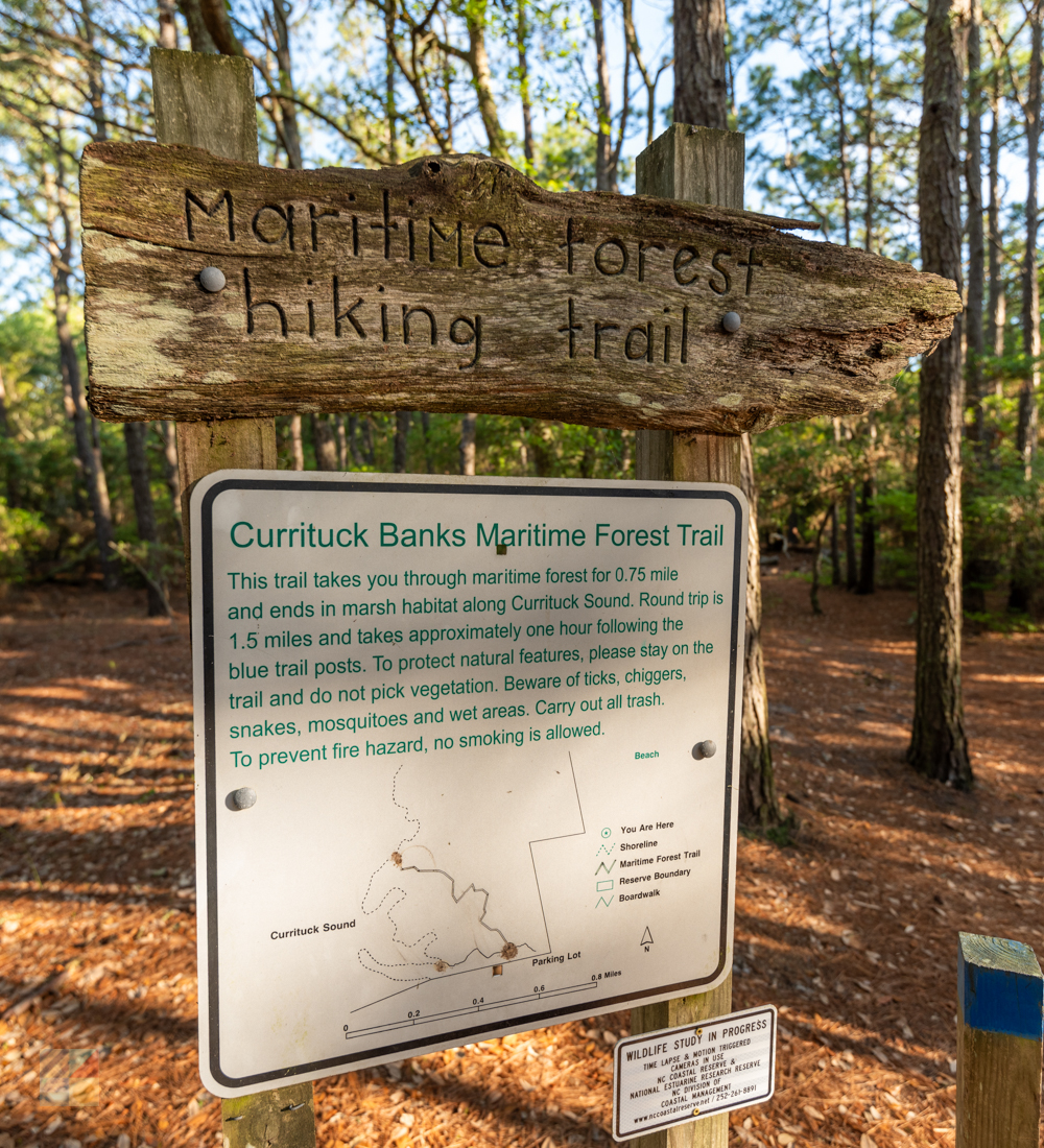 Currituck Banks Coastal Estuarine Reserve