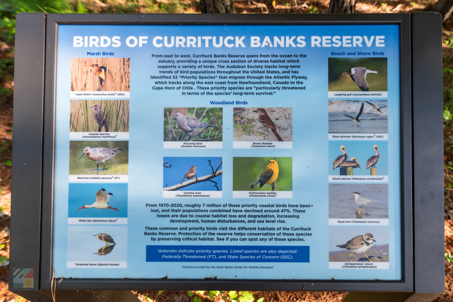 Currituck Banks Coastal Estuarine Reserve