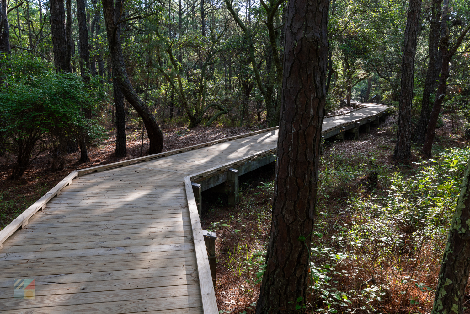 Currituck Banks Coastal Estuarine Reserve