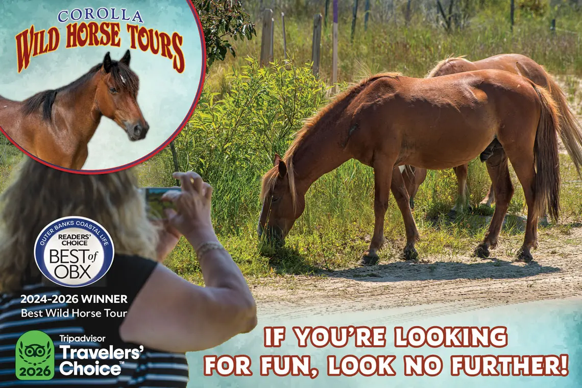 Corolla Wild Horse Tours