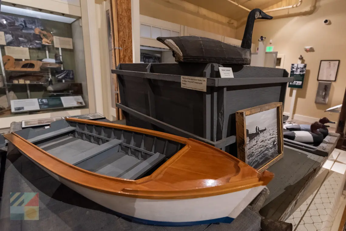 OBX Center for Wildlife Education