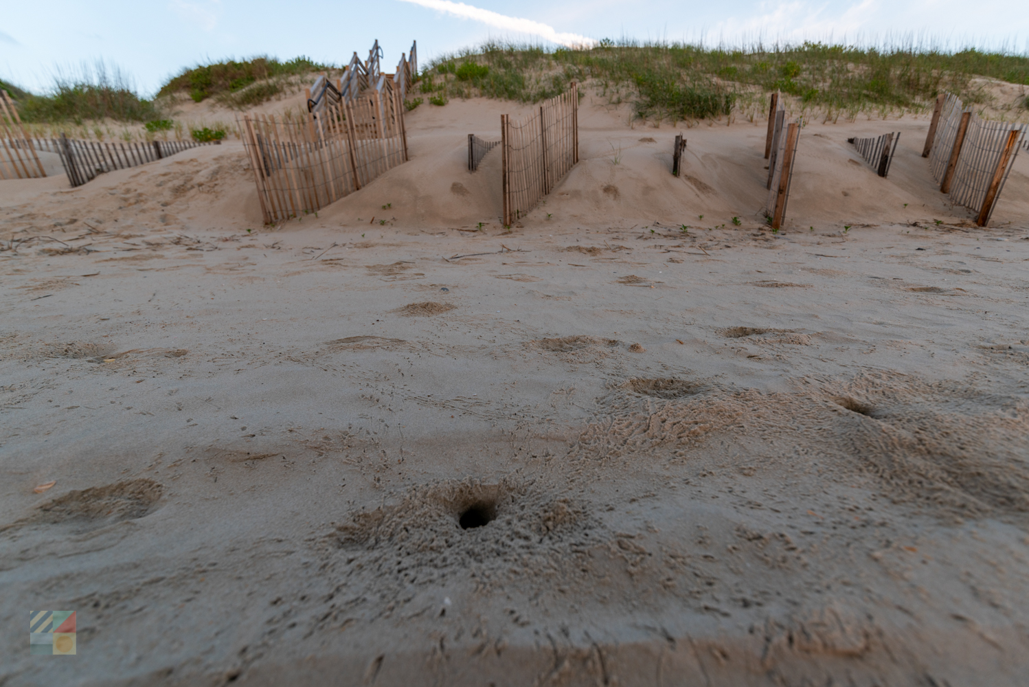 Ghost crab homes on the beach in Corolla NC